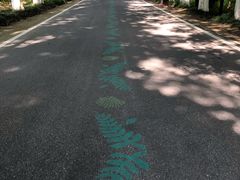 -黄海国家森林公园