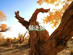 -新疆那拉提国家旅游度假区