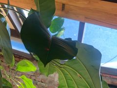 景观位-VOYAGE COFFEE(北锣鼓巷店)