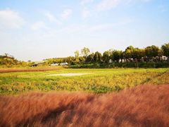-比格比萨(国际能源店)