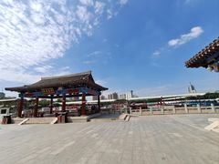 -莲花池公园