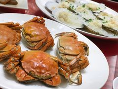 -新锦鸿(演达店)