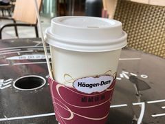 -哈根达斯(深圳海岸城店)
