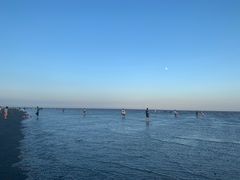 -南汇新城海滩