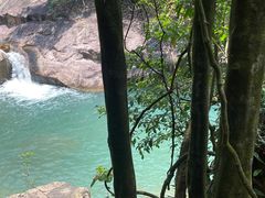 -广州白江湖森林公园