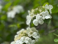 -金典银峰老鹅馆·昆山菜(亭林公园店)