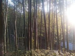 -石燕湖生态旅游景区