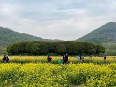 -八卦田遗址公园