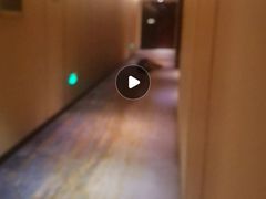 -郑州美盛喜来登大酒店