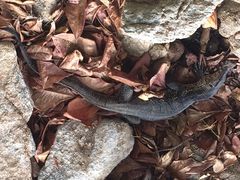 iphone_upload_pic-Ban Raya酒店