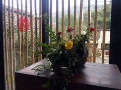 -看见远方·莫干遥远的山民宿