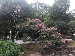 -苏州河梦清园环保主题公园