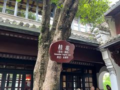 -蒋氏故居