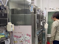 -达爱动物医院·犬猫分区·CT·复杂眼科(远洋山水分院)