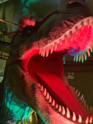 -恐龙探索乐园(磁器口店)