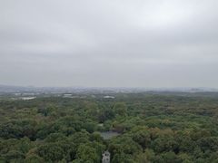 -灵谷景区