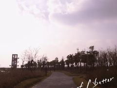 -春花秋色城市公园