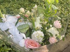 -花生FM_FLOWERS
