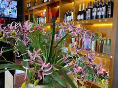 -野菌皇海景野生菌火锅(滨海大道店)