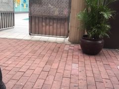 -广州市回民小学(北校区)
