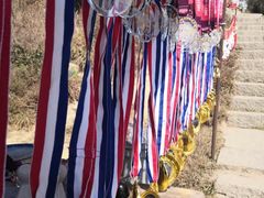 -梧桐山风景名胜区