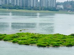 -王浩儿纪六孃甜皮鸭(乐山总店)
