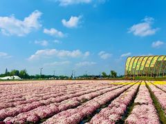 -中国天府农业博览园