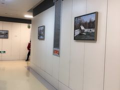 -浙江大学医学院附属邵逸夫医院(钱塘院区)
