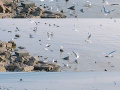 -深圳湾公园(南山区)