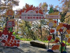 -广州市石门国家森林公园
