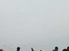 -碧海金沙