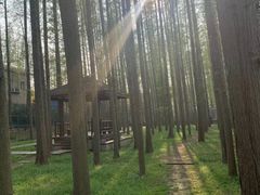 -南京金牛湖风景区