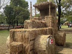 -上海月湖雕塑公园