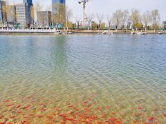 -西海子公园