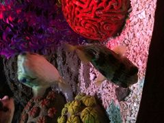 android_upload_pic-南昌海洋公园