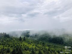 -秦岭风景区