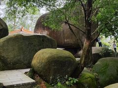 -火炉山森林公园