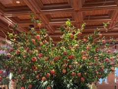 -八府香鸭·啫啫煲(华山路店)