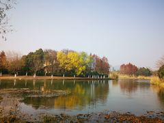 -长广溪湿地公园