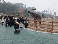-黄龙溪欢乐田园