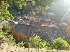 -杨家堂村