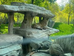 -北京野生动物园