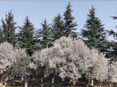 -洨河生态公园