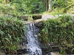 -素山寺森林公园