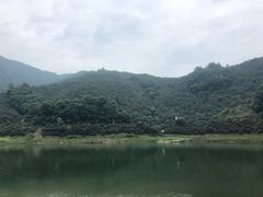 -新安江山水画廊风景区
