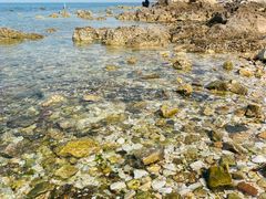 -养马岛旅游度假区