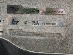 -演武大桥观景平台