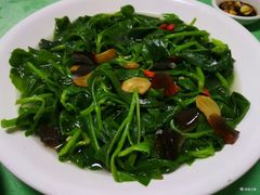-巫记鸡饭店