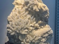 -游龙石文化科普馆