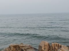 -京秀缘蒸汽海鲜农家菜大馅蒸饺